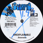 Determine / Ricky General : Unexplainable / Model Pon Them (12")