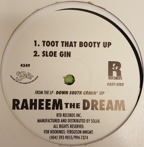 Raheem The Dream : Down South Comin' Up (Sampler) (12", Smplr)
