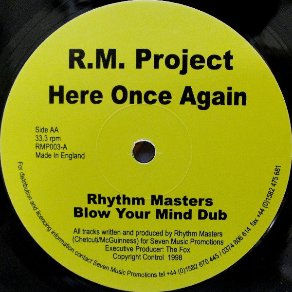 R.M. Project : Here Once Again (12")