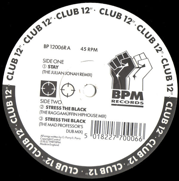 Silicon Chip : Stay (12")