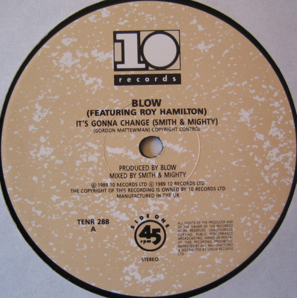 Blow Featuring Roy Hamilton : It's Gonna Change (12")