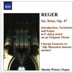 the album cover for Martin Welzel - Organ Works 6