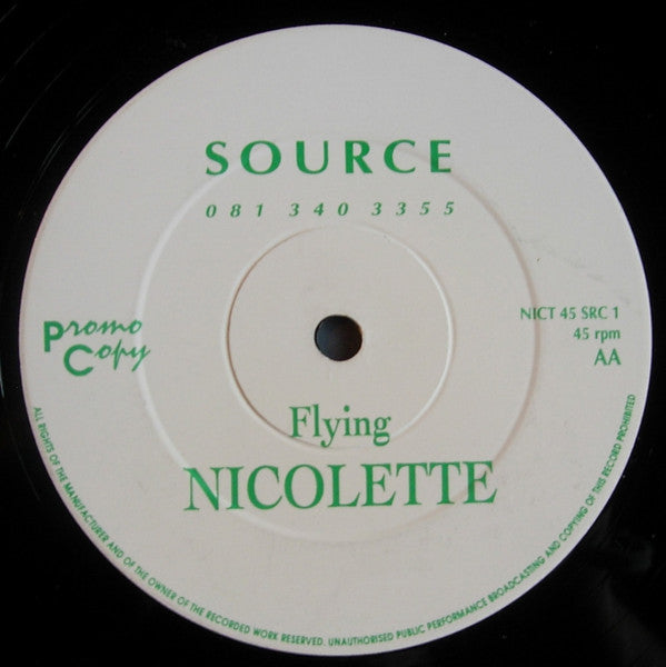 Nicolette : No Government (12", Promo)