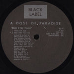 A Dose Of Paradise : Door 2 My House (12")