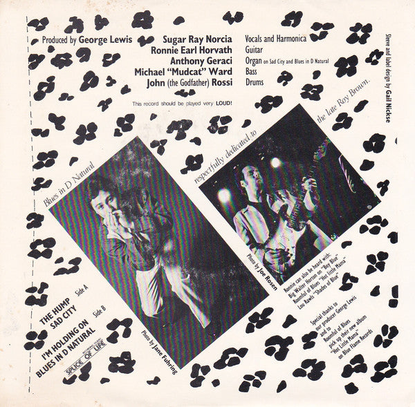 Ronnie Earl And His Broadcasters* Featuring The Sensational Sugar Ray* : The Hump (7", EP)