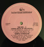 Sample Syndicate : TBM Mix 5 - Swing Beats In The House! (12")