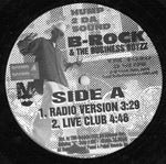 B-Rock And The Business Boyzz : Hump 2 Da Sound (12")