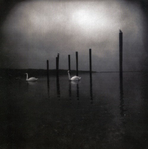 Om - Conferencia de las Aves (CD)