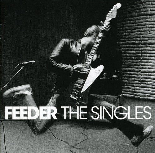 the album cover for Feeder - Singles