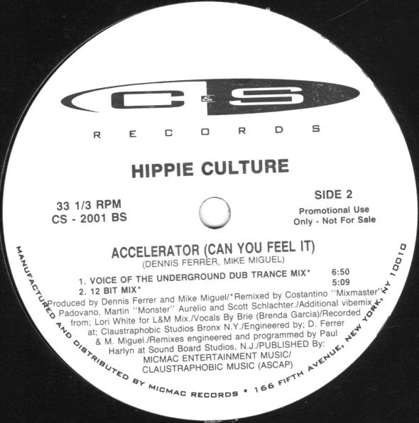 Hippie Culture : Accelerator (Can You Feel It) (12", Promo)