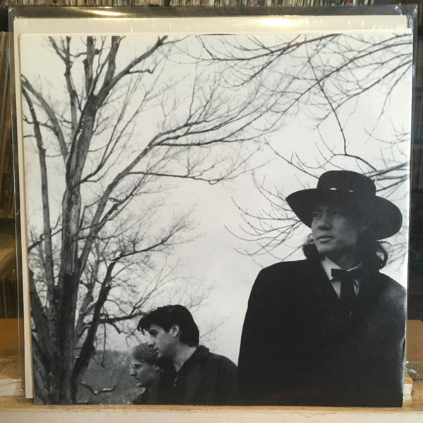 Big Head Todd And The Monsters : Another Mayberry (LP, Album)