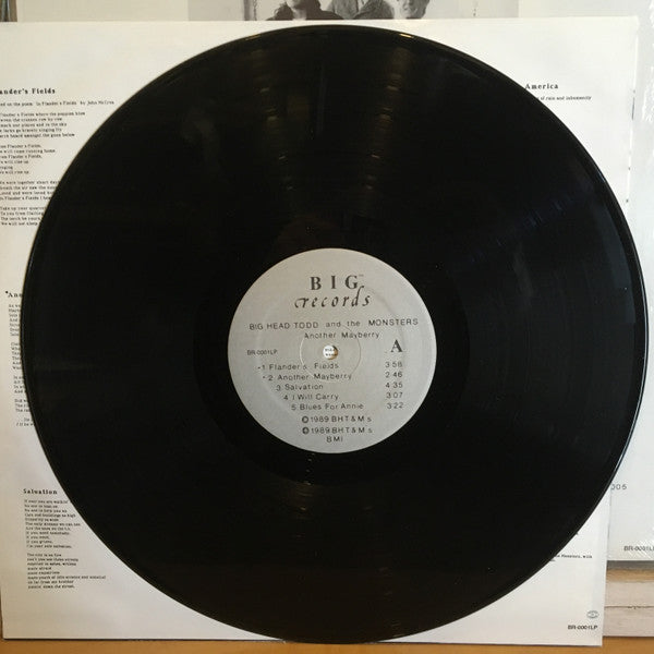 Big Head Todd And The Monsters : Another Mayberry (LP, Album)