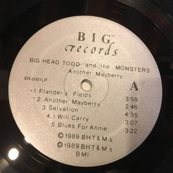 Big Head Todd And The Monsters : Another Mayberry (LP, Album)