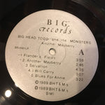 Big Head Todd And The Monsters : Another Mayberry (LP, Album)