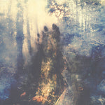 Sylvaine (2) : Wistful (2xLP, Album, Ltd, Whi)