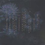 Sylvaine (2) : Wistful (2xLP, Album, Ltd, Whi)