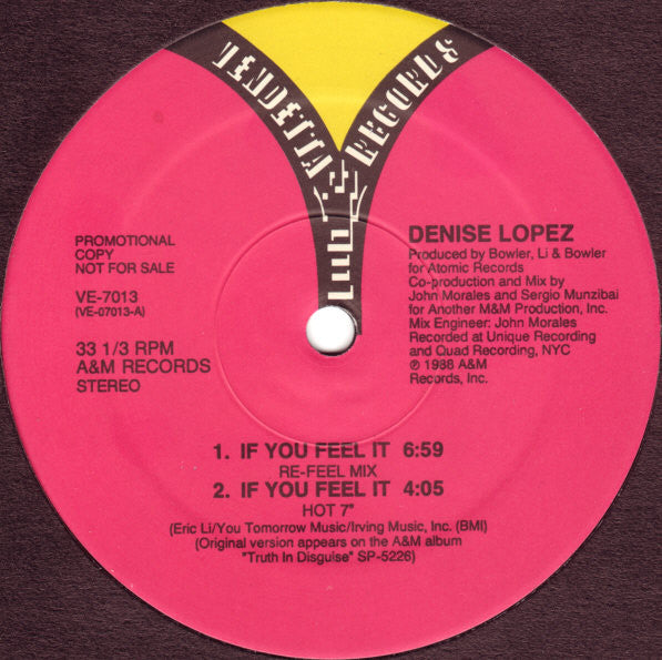 Denise Lopez : If You Feel It (12", Promo)