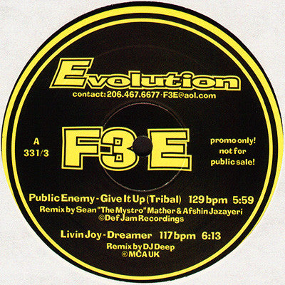 Various : Evolution 1 (12", Promo, Unofficial)