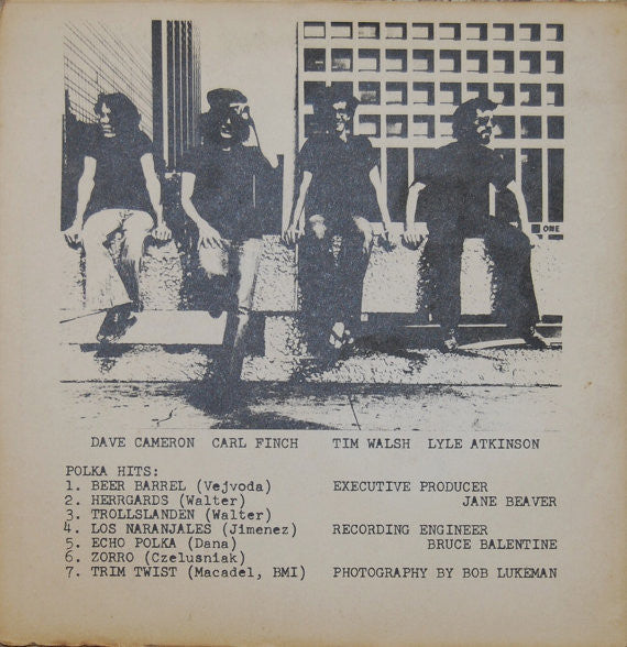 Brave Combo : Polkamania (2x7", EP)