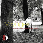 the album cover for Pascal Gallois - Voyages