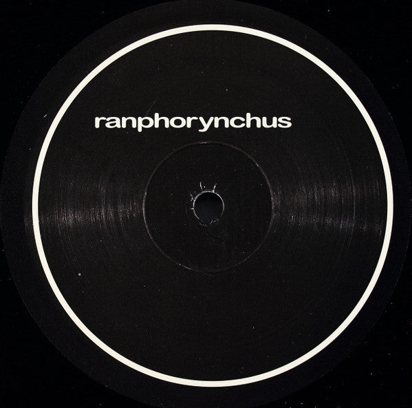 Ranphorynchus : Ranphorynchus (12")