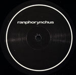 Ranphorynchus : Ranphorynchus (12")