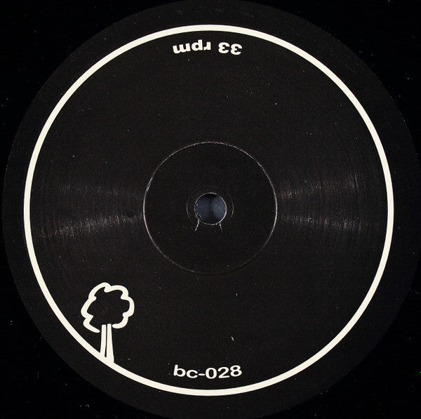 Ranphorynchus : Ranphorynchus (12")