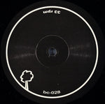 Ranphorynchus : Ranphorynchus (12")