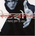 the album cover for Simple Shelter - Pheonix from the Ashes