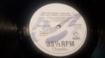 Fred Fowler : Times Are Changin' (12", Promo)