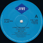 Big Fun : Living For Your Love (12", Single)