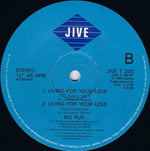 Big Fun : Living For Your Love (12", Single)