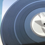 The Skinless Brothers : It's The G (12")