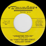 Forty Second Street Auxiliary Choir : Springtime Feeling / You Ask Why (7")