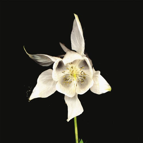 フリッジ - ハピネス (ビニールレコード)