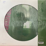 Run DMC* : Raising Hell (LP, Album, Pic, RE, 180)