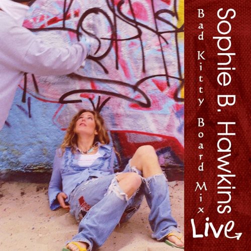 the album cover for Sophie B. Hawkins - Live: Bad Kitty Board Mix