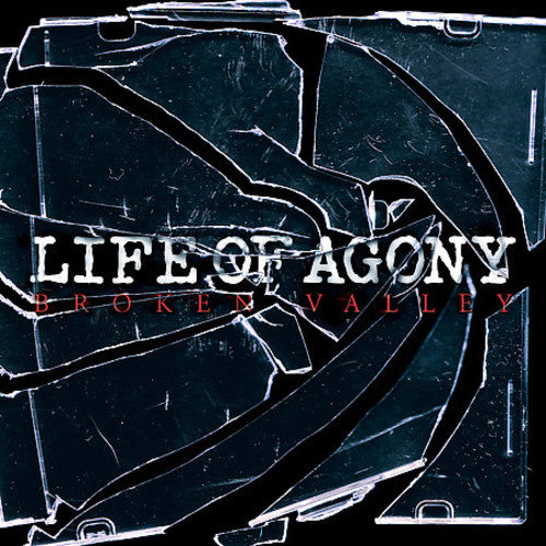 the album cover for Life Of Agony - Broken Valley