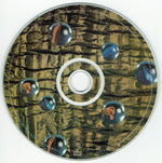 Richard Wright : Broken China (CD, Album)