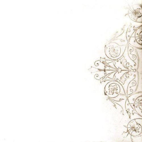 the album cover for Damien Jurado - And Now That I'm In Your Shadow