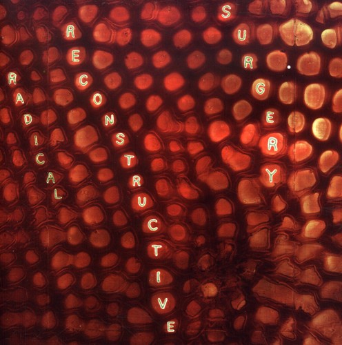 the album cover for Scotty Hard Radical Reconstructive Surgery - Scotty Hard's Radical Reconstructive Surgery - John Medeski and Matthew Shipp