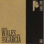 Howard Wales And Jerry Garcia : Howard Wales And Jerry Garcia Live: Side Trips Volume One (CD, Album)