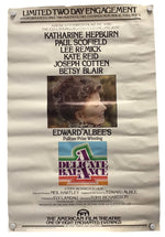 Vintage movie poster for 'A Delicate Balance' hanging against a white wall, featuring cast names Katharine Hepburn, Paul Scofield, Lee Remick, Kate Reid, and Betsy Blair, with a central portrait photo and the film title logo near the bottom.