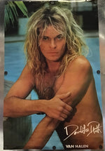 A vintage metal music poster of David Lee Roth featuring a shirtless portrait with long blonde hair and the text 'David Lee Roth' and 'VAN HALEN' at the bottom, displayed on a metallic surface.