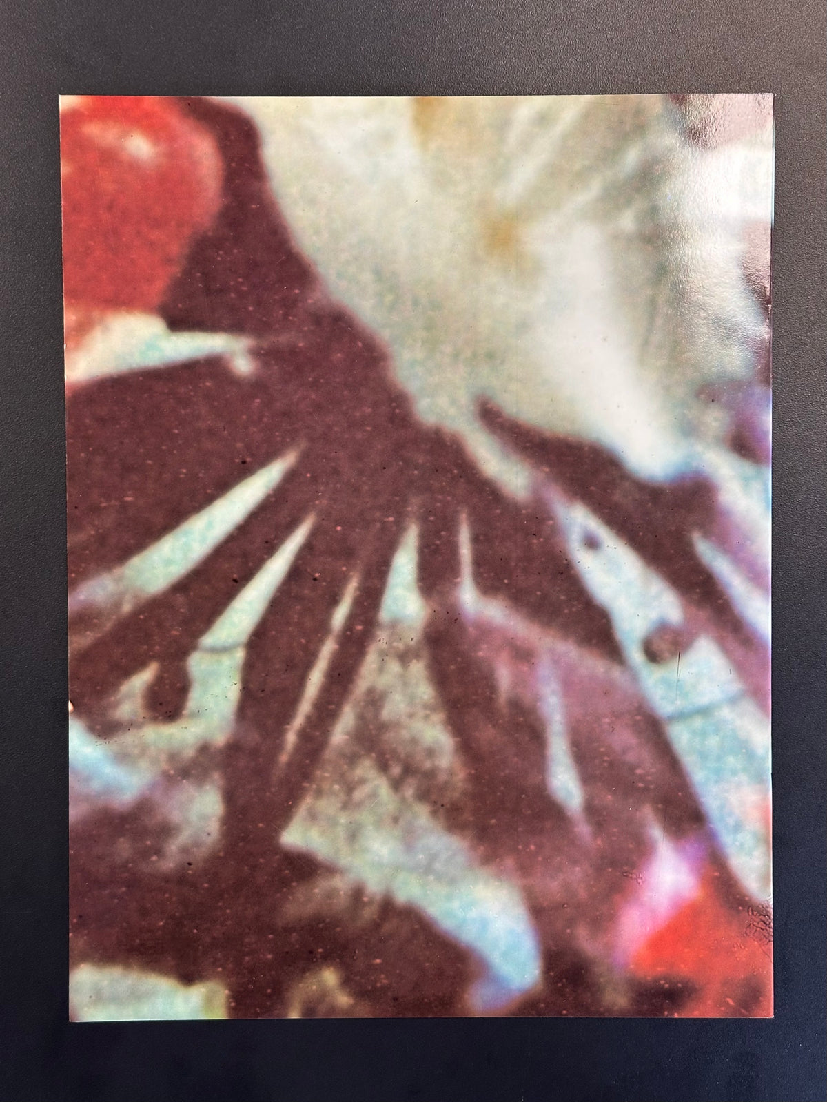 Libro de la gira de The Cure The Prayer de 1989