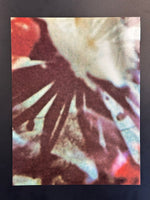 Libro de la gira de The Cure The Prayer de 1989