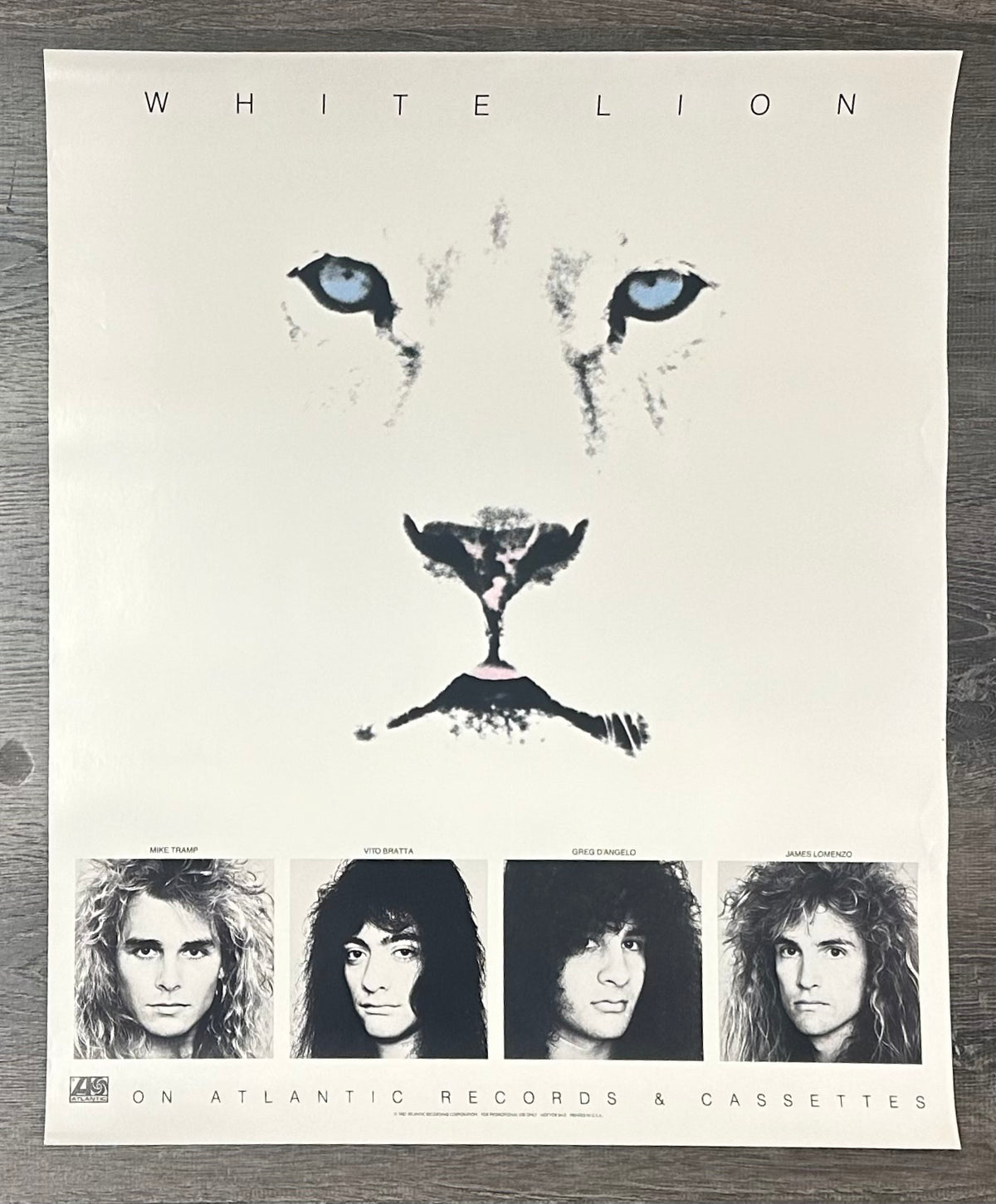Póster vintage del León Blanco de 1987