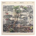 Dept of Edu - Cuban Studies / Barrio Outreach (45)
