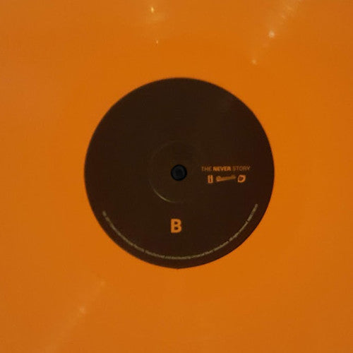 J.I.D : The Never Story (LP, Album, Ora)