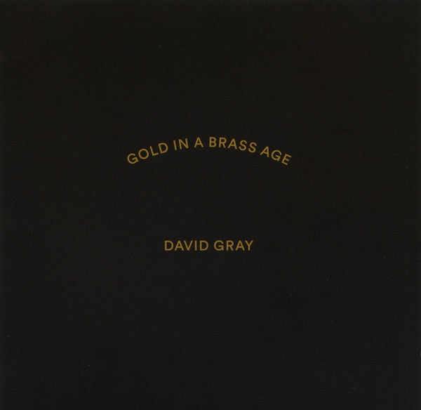 (中古) デヴィッド・グレイ - Gold In A Brass Age